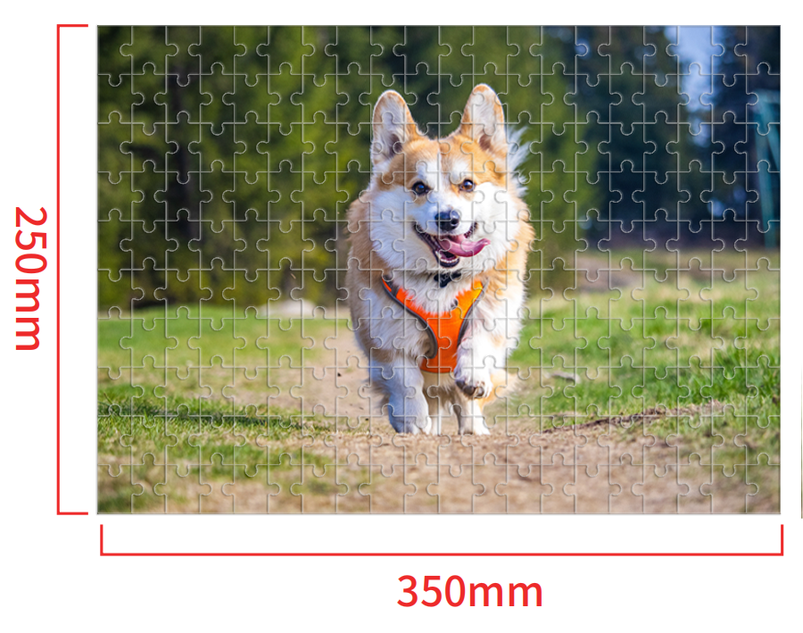 Puzzlemee's puzzle