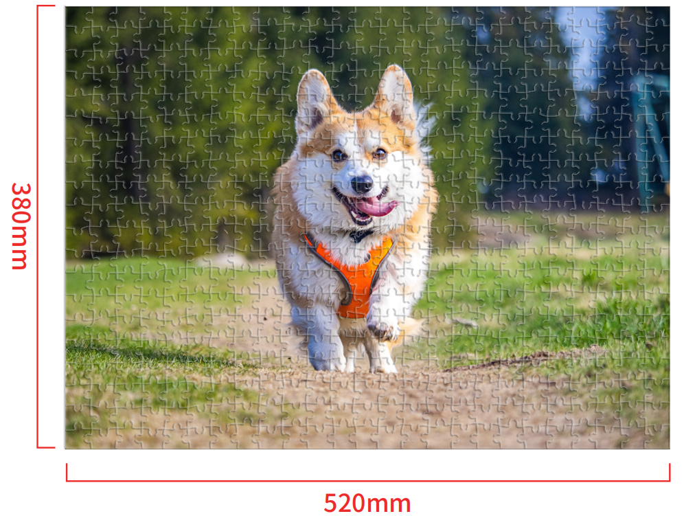 Puzzlemee's puzzle